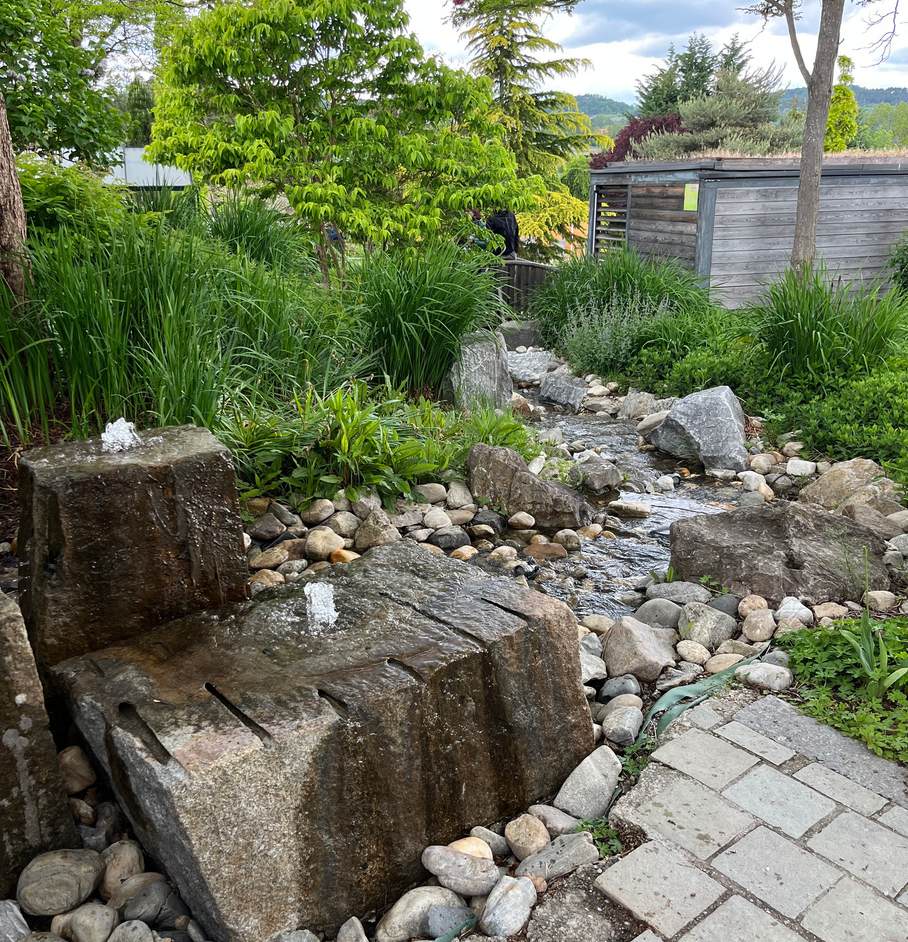 Gallery Image 36